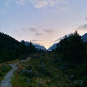 LÖTSCH - 10