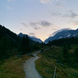 LÖTSCH - 11