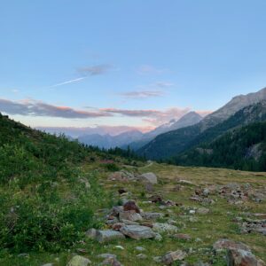 LÖTSCH - 20