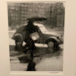 IMG_2394